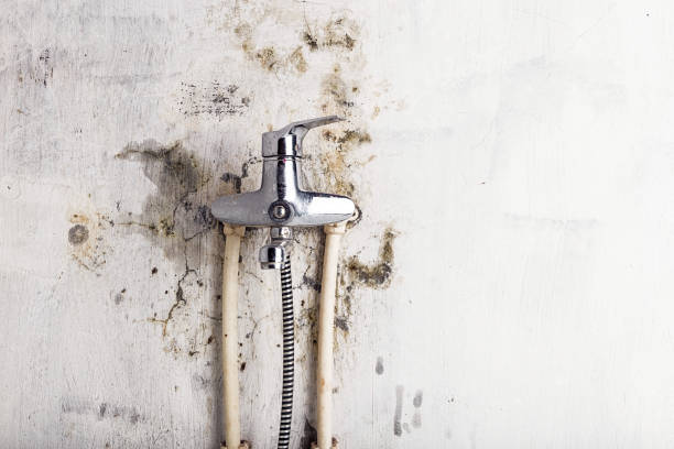 Best Mold Testing  in El Macero, CA