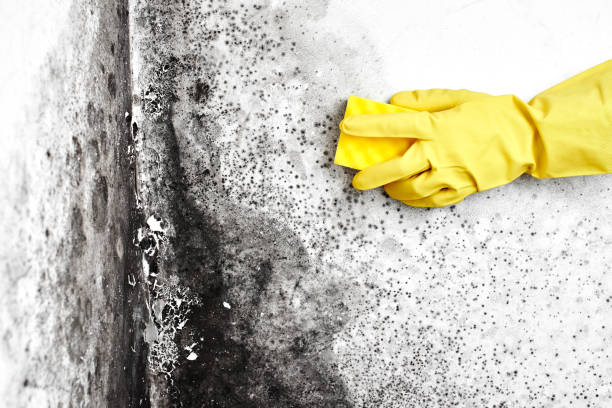 Water Damage Restoration in El Macero, CA